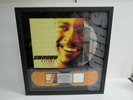 Shaggy-Hot Shot-Framed RIAA Award hip hop/rap