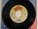 Randy and The Rainbows / Denise / 45rpm / Mint