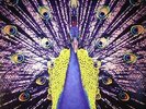 BLOND:ISH - Welcome To The Present - Vinyl (2xLP + CD)