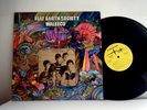 FLAT EARTH SOCIETY LP Waleeco 1968 Fleetwood Records Original  rare psych vinyl