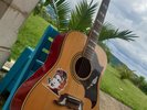 bob Dylan autograph guitar epiphone DOVE signed live concert 2011 MARK KNOPFLER