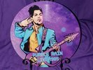 Extremely limited custom Prince Purple Rain live  1985  12