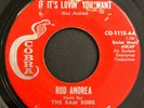 CHICANO NORTHERN SOUL 45 - ROD ANDREA - IF IT'S LOVIN YOU WANT - COBRA - HEAR