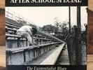 After School Special 7” Punk The Lillingtons Screeching Weasel Ramones Green Day