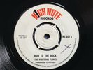 THE RIGHTEOUS FLAMES / THE GAYLADS 