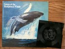 Songs of the Humpback Whale LP 1970's w/ National Geographic Flexi Disc VG+