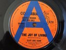 Hank B. Marvin- Aussie Columbia PROMO 45  