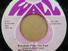 TAMLINS EVERYBODY PLAYS THE FOOL / AH FOOL YOU JAMAICAN WALL 7