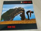 LP - Another World - Brian May (Queen) - Picture Disc  -