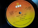 Madonna Sammy Hagar Rare Zimbabwe Press Jackson Lauper Bowie Duran Kylie Halen