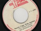 WELL PLEASED & SATISFIED - SWEETIE COME FROM AMERICA - HIGH NOTE