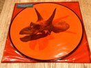 Alice In Chains - The Devil Put Dinosaurs Here Vinyl Picture Disc Rare