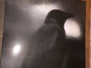 VELES - The Black Ravens Flew Again WHITE LP Ohtar Absurd Goatmoon Vothana GBK