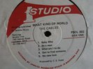 The Cables - What Kind Of World - 1978 UK Studio 1 LP - PSOL002 - EX