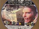 Sublime Robbin The Hood Limited Edition Picture Disc vinyl record ER2008 Skunk