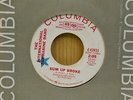 The International Submarine Band 45 Sum Up Broke bw One Day Week on Columbia