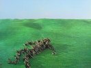 Squid Bright Green Field Vinyl LP Indies Green Colour 2021 NEU