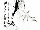 Nai Palm (Hiatus Kaiyote) - Needle Paw Vinyl 2LP NEU 09539394