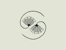 Godspeed You  Black Emperor - G_d’s Pee AT STATE’S END LP+10