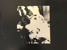 DWARVES 'LICK IT 1983-1986' Recess #52 Green /Gray Swirl X2LP $25.00 + Shipping