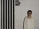 Noel Gallagher's High Flying Birds - Chasing Yesterday [VINYL]