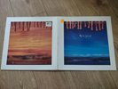 Paul McCartney - Off the Ground (1993 Vinyl LP, UK Pressing, Rare)