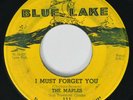 Doo Wop 45 MAPLES I Must Forget You BLUE LAKE very rare original HEAR