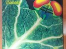 Catapilla Changes UK Vertigo Swirl 1972 1st Pressing Mint (-) Prog Psych LP