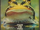 FROGGIE BEAVER: from the pond FROGGIE BEAVER 12