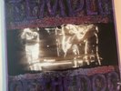 Temple of the Dog - S/T self titled VINYL LP 12” 90s grunge pearl jam mudhoney