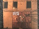 Tired Pony - The Place We Ran From original UK release vinyl LP