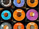    260 x DEUTSCHER SCHLAGER u.a. Kleinlabel FAVORIT OSCA PRIMA NECKERMANN ROXY