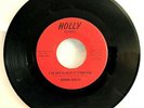 RONNIE NORTH 45 - TRY ME - I’VE GOTTA HEAR IT FROM YOU - HOLLY RECORDS, VG+