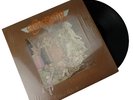 Aerosmith Toys in the Attic LP Vinyl Record 01851