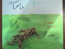 Bright Green Field Squid  Double Vinyl LP New Fully signed by band
