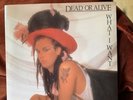Dead Or Alive What I Want Rare Cover , Westwood Hat . 7” Vinyl