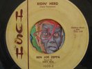 HEAR Ben Joe Zeppa 45 Ridin Herd/Young Heartaches HUSH rockabilly teen popcorn