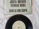 THE OUTCASTS-justa nother teenage rebel-N MINT-blue fold out cover7