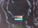 12. Inch  Vinyl. Lush. Gala Early Copy