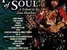 POWER OF SOUL - Power Of Soul: Tribute To Jimi Hendrix - 2 Vinyl - SEALED/NEW