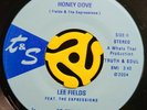 Funk Deep Soul 45 - Lee Fields - Honey Dove - T&S 2004 OG 1st Press M- HEAR