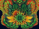 New Music Bongzilla 