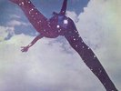 FREE Free LP VINYL UK Pink Island 1969 9 Track Original Textured Pink I Label