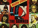 THE DAMNED Dozen Girls Vinyl Record Single 7 Inch Bronze 1982 & Captain Sensible
