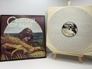 1973 Greatful Dead Wake of the Flood Vinyl | Original Release