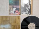 Sonic Youth Sister Vinyl LP Blast First ?BFFP20 1987