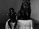 6lack FREE 6LACK New Sealed Black Vinyl Record LP