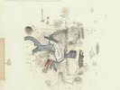 Midnight Organ Fight by Frightened Rabbit (Vinyl, Fatcat Records)