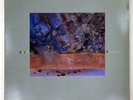 DIF JUZ LP Extractions 4AD- CAD 505 rare COCTEAU TWINS great copy
