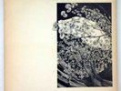 DIGITAL SEX LP Essence POST-AMBIENT insert RARE OMAHA post-punk COLDWAVE nice